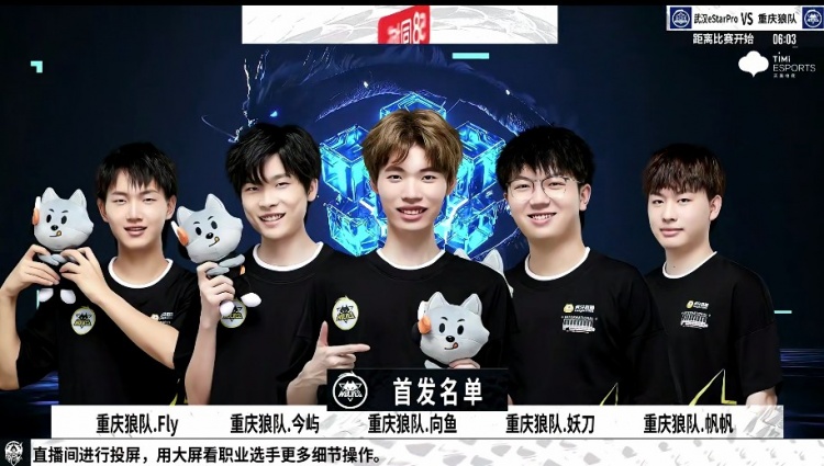 不少球迷认