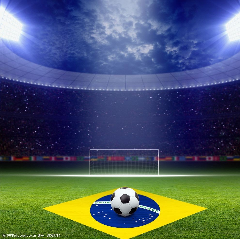 冠军争夺战 冠军争夺战