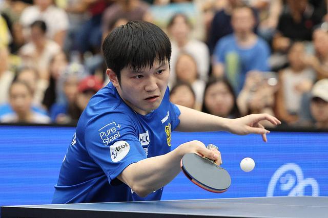 阵容的互补 阵容的互补